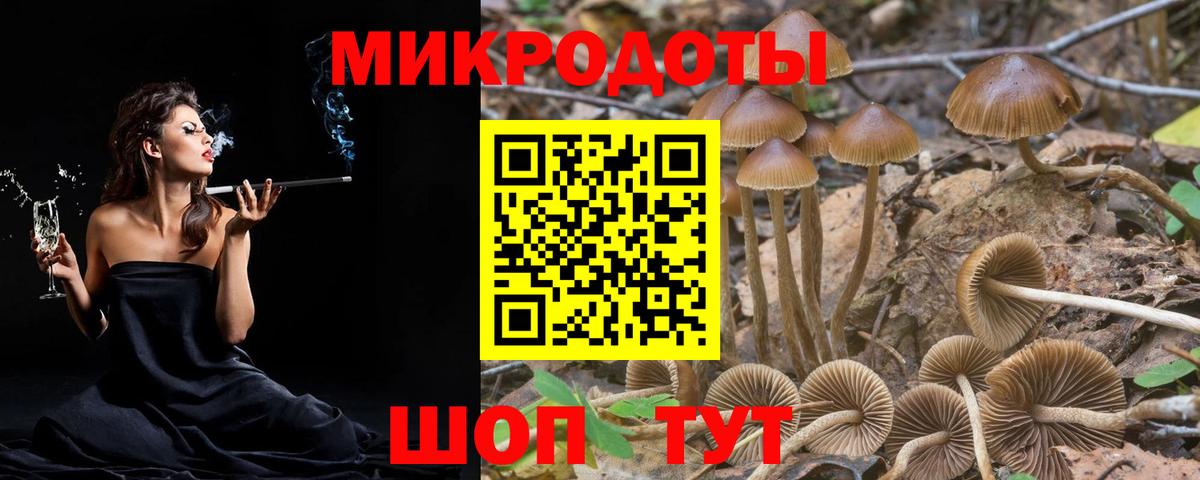 Псилоцибиновые грибы Magic Shrooms Александров